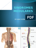 Síndromes Medulares SJB