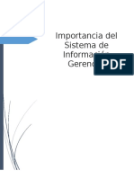 Importancia Del Sistema de Información Gerencial