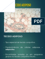 Histologia 2 Ósseo Cartilaginoso e Adiposo