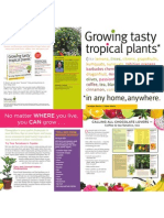 Growing Tasty Tropicals Brochure