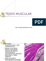 Tejido Muscular