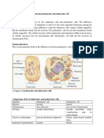 Differences Between Prokaryotic and Eukaryotic Cell