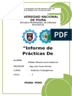 Informe Laboratorio