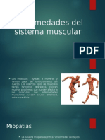 Enfermedades Del Sistema Muscular