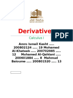 101 - Full Derivative Report