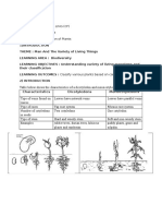 3.3 Classification of Plant