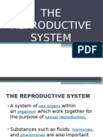 The Reproductive System1