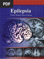 Epilepsia Maya