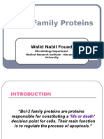 Bcl-2 Family Proteins