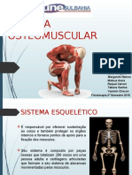 Sistema Osteomuscular Biofísica