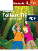 Grades 9-12: What's The Tallest Thing You've Ever Seen?