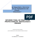 Informe Final de Practicas Profecionales