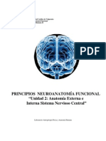 Principios de Nueroanatomia Funcional