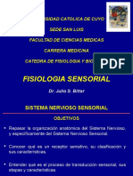 Somato - FISIOLOGIA