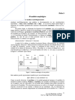 Ficha 3 Morfología y Sintáxis