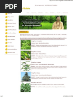 Astro Vastu Guide - Cheramuli