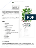 Ilex Paraguariensis