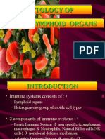 K - 3 Histology of Lymphoid Organ