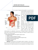 Anatomy and Physiology of The Digestive System