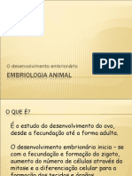 Biologia PPT - Embriologia