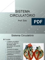 Biologia PPT - Sistema Circulatorio