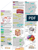 Anatomy One Pager G&a