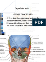 Esqueleto Axial Ossos Do Crânio e Coluna