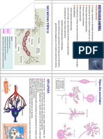 11 Biologia+e+farmacogenética