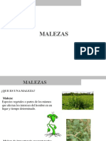 Diplomado Malezas PDF