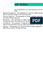 Alimentary Canal ws1