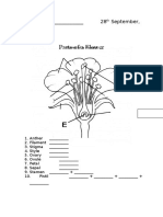 Parts of A Flower Worksheet PDF