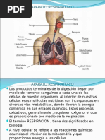 Aparato Respiratorio