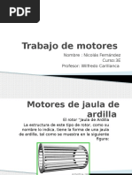 Motores de Jaula de Ardilla