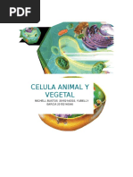 Celula Animal y Vegetal