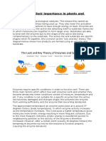 Enzymes and Their Importance in Plants and Animals