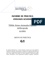 Antropoda Informe