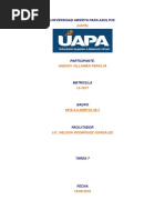 Tarea 7 - Sociologia Juridica - Aneudy