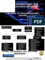 6 - METABOLISMO-DEL-SISTEMA-NERVIOSO Corregido