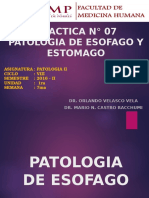 (Lab) Patología II - Esófago y Estómago