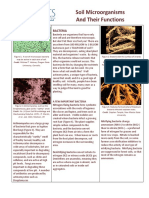 Soil Microorganisms and Their Functions