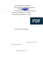 Fluctuaciones de La Actividad Economica