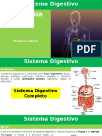 Sistema Digestório