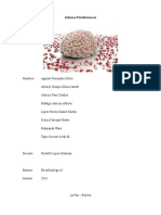 Informe Psicofármacos