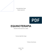 Equinoterapia 