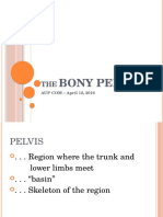 April 12 Bony Pelvis