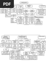 Mapa Conceptual