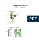 Av. Teoria y Practica