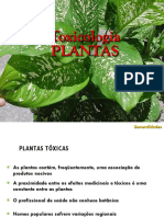 Intoxicacao Por Plantas