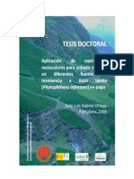 Aplicación de Marcadores Moleculares para Cribado de QTLs en Diferentes Fuentes de Resistencia A Tizón Tardío (Phytophthora Infestans) en Papa