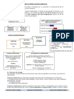 Esquema Infecciones Nosocomiales